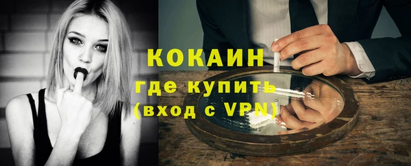 индика Бронницы
