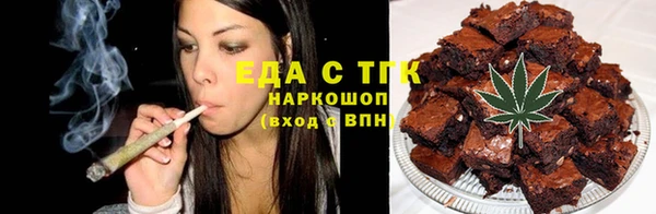 индика Бронницы