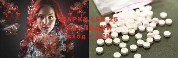 гашик Покровск