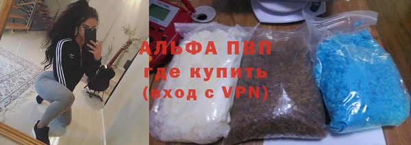 гашик Покровск