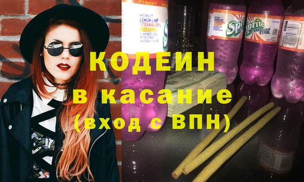 индика Бронницы