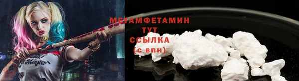 индика Бронницы