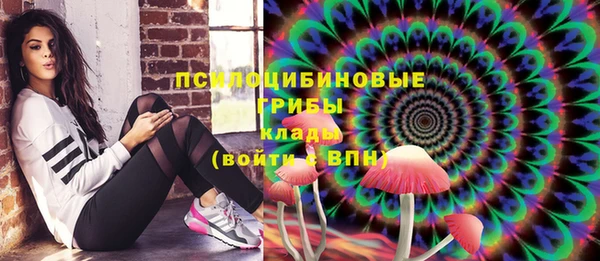индика Бронницы