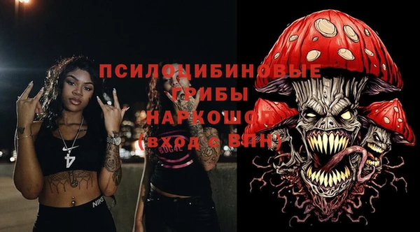индика Бронницы