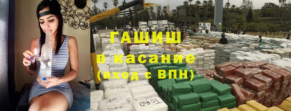 индика Бронницы