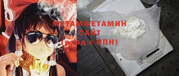 индика Бронницы