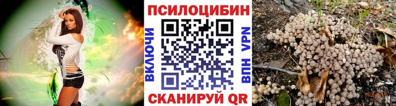 наркошоп  Балаково  Галлюциногенные грибы Magic Shrooms 
